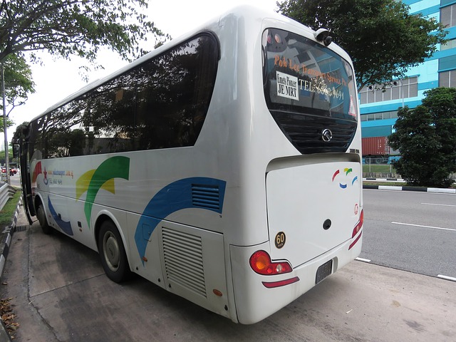 Profesjonalny wynajem busów i floty transportowej